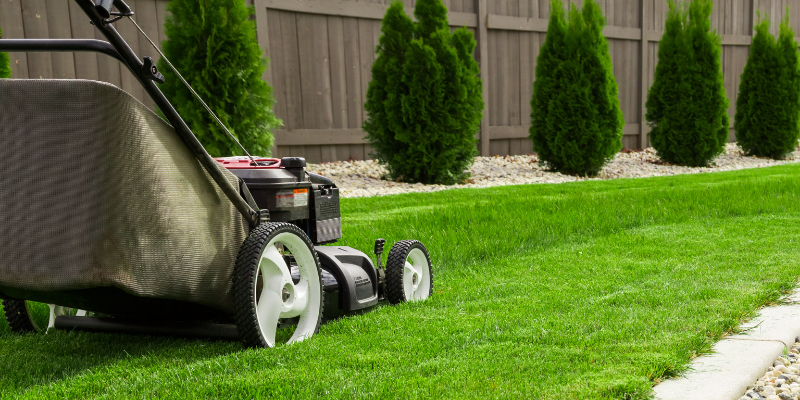 Average price 2025 for lawn service