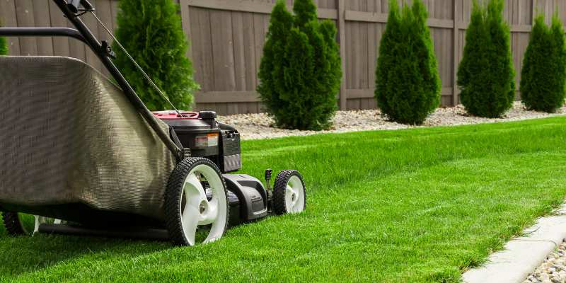 Mowing machine being used to mow the lawn.