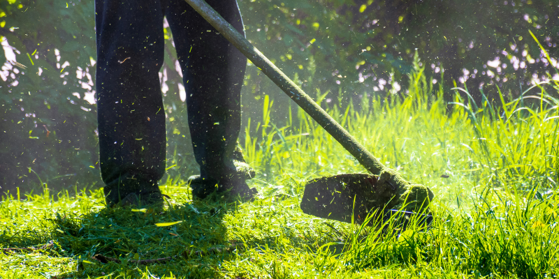 professional gardener mowing the lawn.