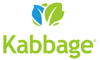 The Best Fast-funding for Small Business Financing Kabbage