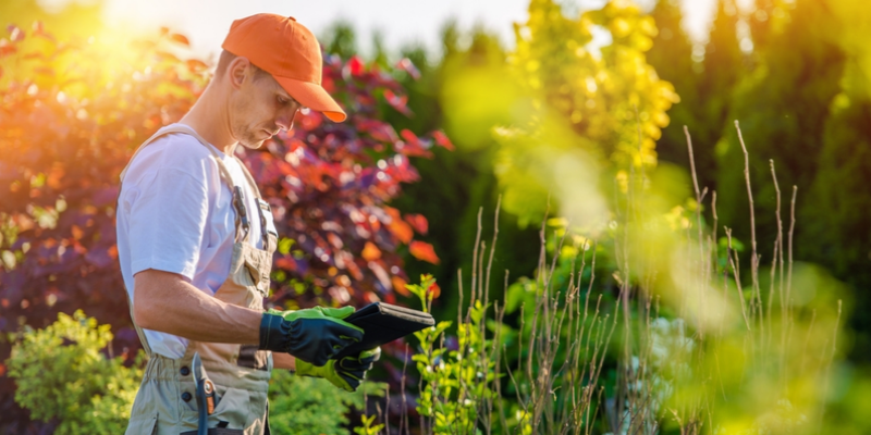 Gardener looking at his computer tablet.