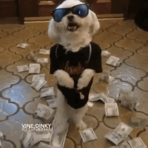 dog walking on two feet with sunglasses, surrounded by money