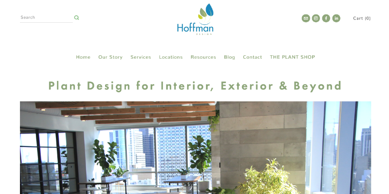 Photo of hoffman design website. 