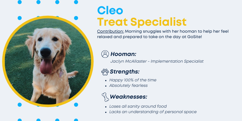 Cleo, Treat Specialist. 