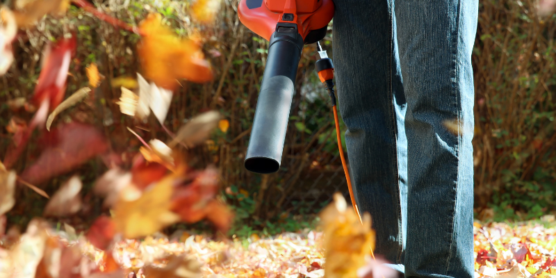 landscaper using a leaf blower.