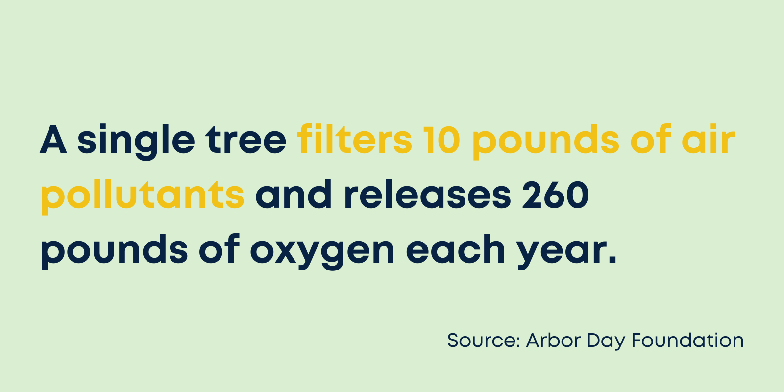 A single tree filters 10 pounds of air pollutants and releases 260 pounds of oxygen each year. 