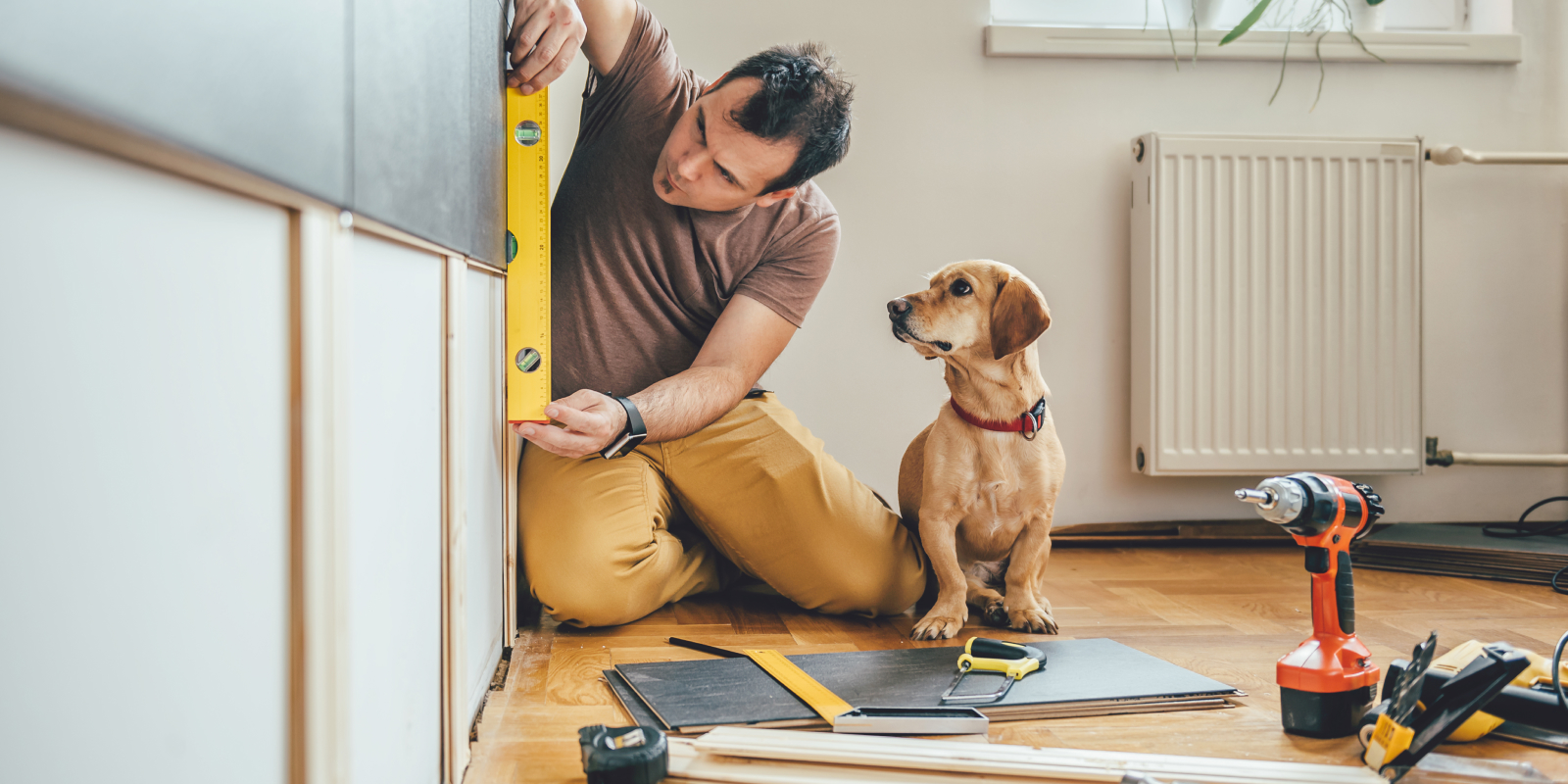 dog next to a man conducting home renovations