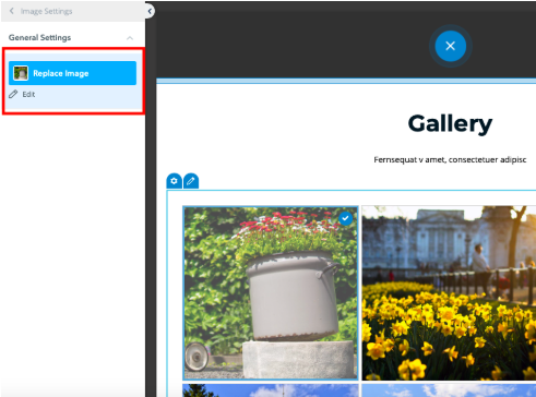 Screen Shot 2019-03-08 at 11.11.52 AM