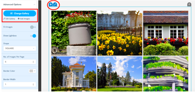 Screen Shot 2019-03-08 at 11.13.22 AM