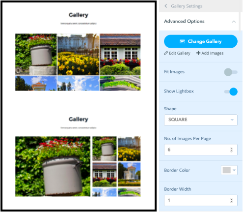 Screen Shot 2019-03-08 at 11.17.36 AM